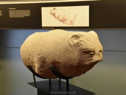 Ciudad de Elche 2022